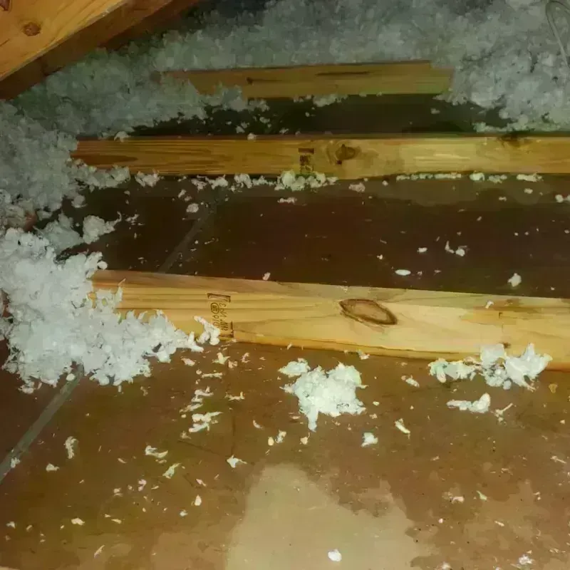 Attic Water Damage in Kinney County, TX