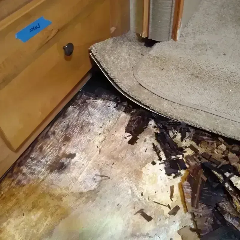 Best Wood Floor Water Damage Service in Kinney County, TX